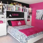 Bedroom Ideas for Teenage Girls with Small Rooms