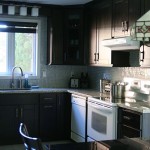 Black Kitchen Cabinets with White Appliances
