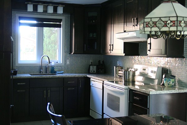 Black Kitchen Cabinets with White Appliances