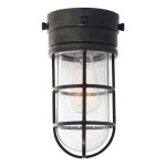 Outdoor Flush Mount Light