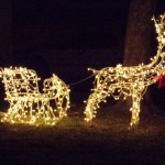 Outdoor Lighted Reindeer