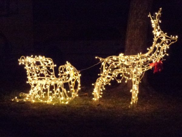 Outdoor Lighted Reindeer