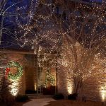 Outdoor Tree Lights