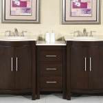 Bathroom Vanity Cabinets Without Tops