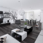 Black and White Modern Living Room