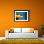 Colors for Walls in Living Room
