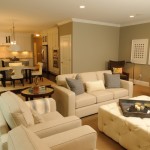 HGTV Living Room Designs
