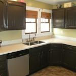 Kitchen Paint Colors with Dark Cabinets