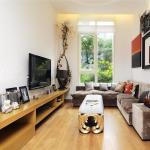 Narrow Living Room Design Ideas