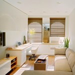 Small Apartment Living Room Design Ideas