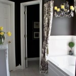 Black and White Bathroom Decor Pictures