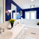 Navy and White Bathroom