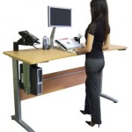 Standing Work Desk