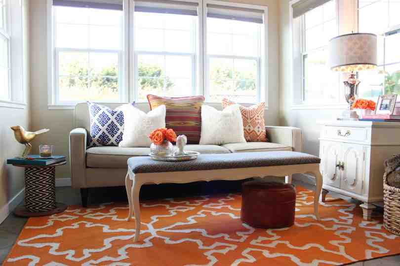 Accent Rugs for Living Room