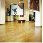 Bamboo Flooring