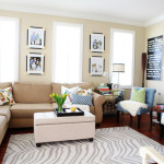 Best Area Rugs for Living Room