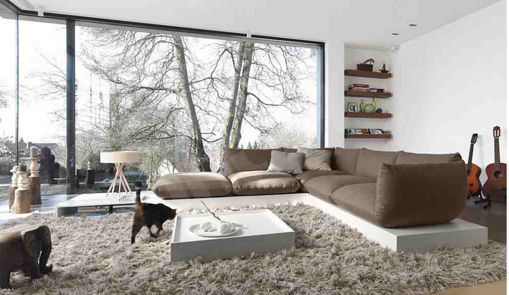 Big Rugs for Living Room