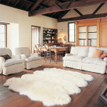 Floor Rugs for Living Room