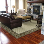 Inexpensive Rugs for Living Room