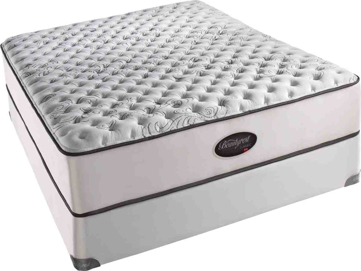 dormia adjustable twin bed with mattress