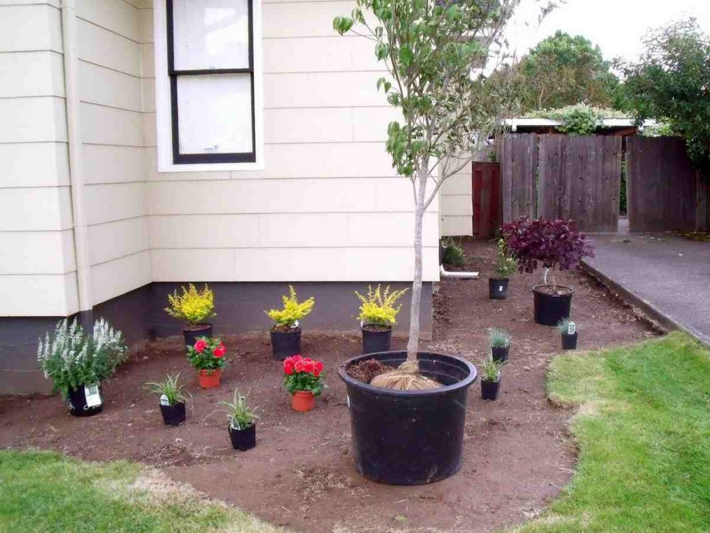 Front Yard Landscaping Ideas For Small Homes - Decor Ideas
