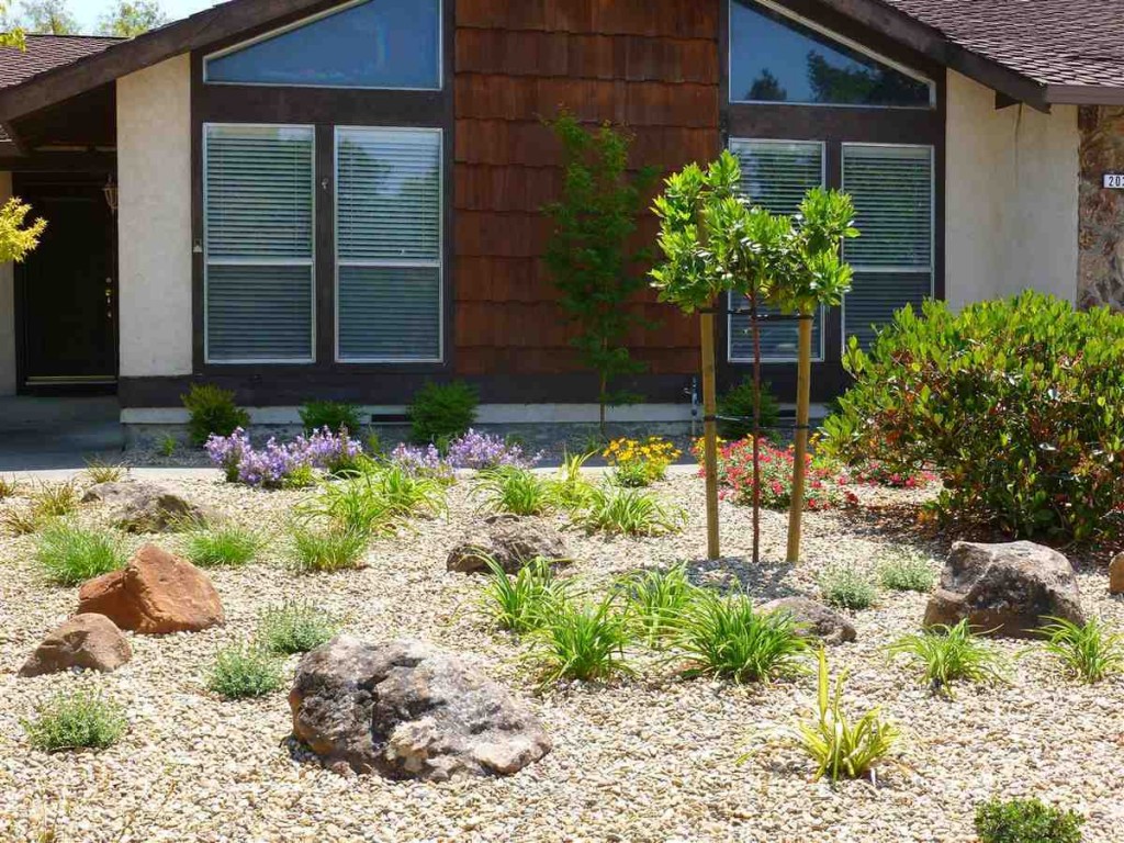 Low Maintenance Landscaping Ideas Front Yard