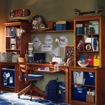 Boys Bedroom Furniture Ideas