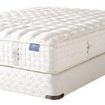 Aireloom Latex Mattress