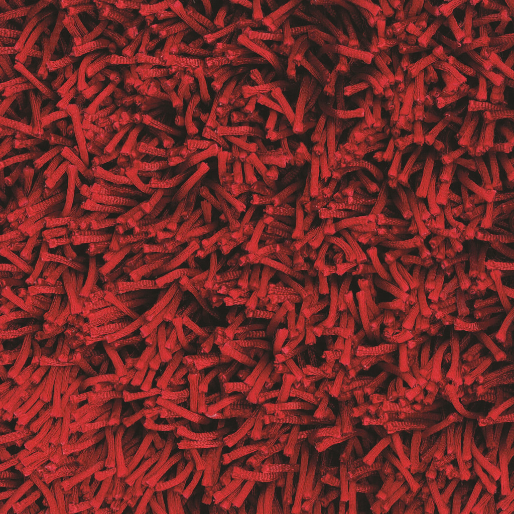 Red Shag Area Rug