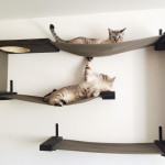 Wall Mounted Cat Shelves