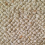 Wool Area Rug Cleaning
