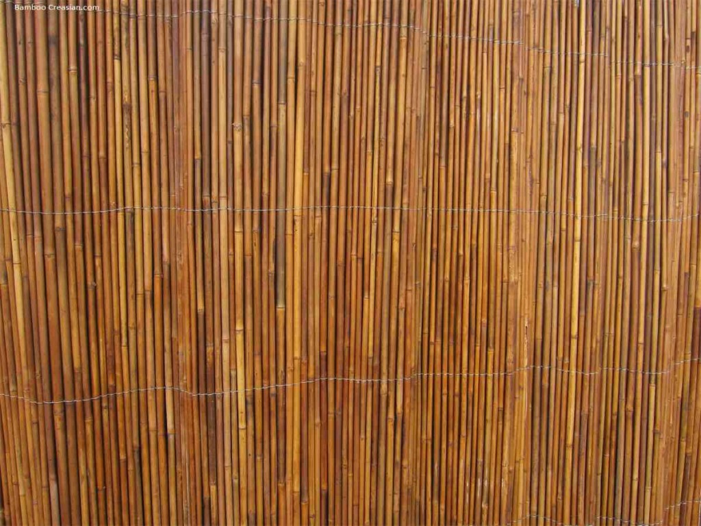 Bamboo Wall Covering - Decor Ideas
