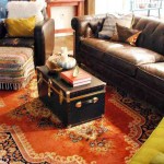 Cool Living Room Rugs