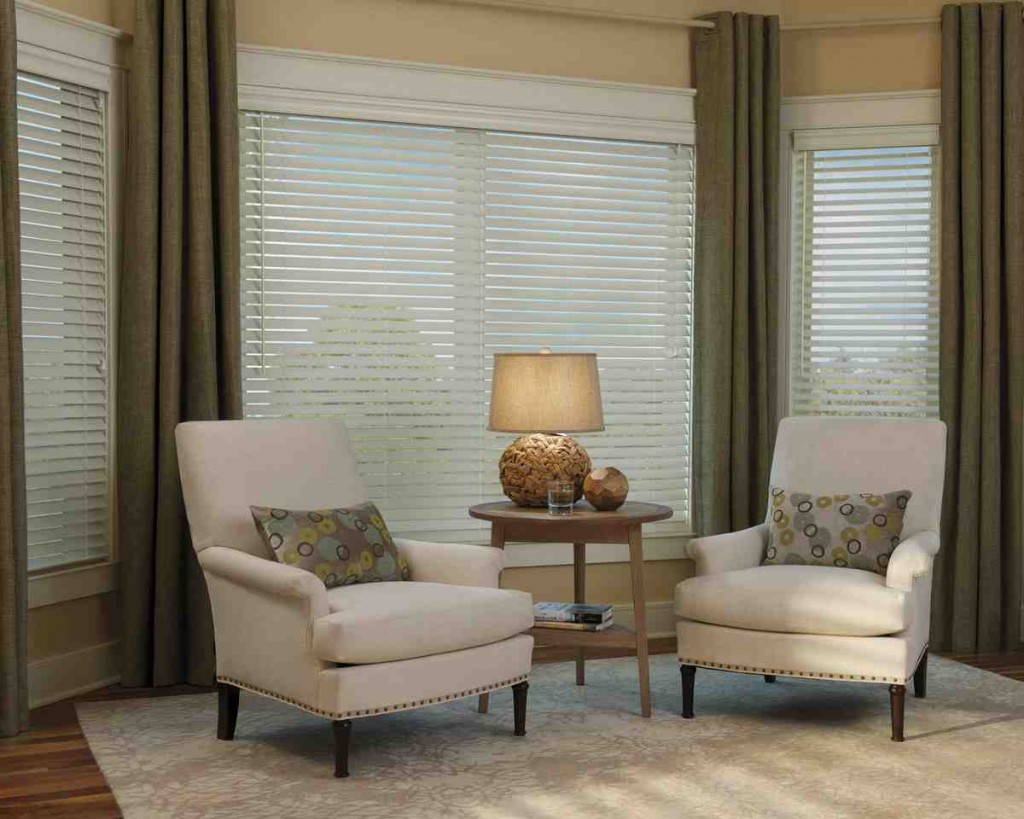 Formal Living Room Curtains