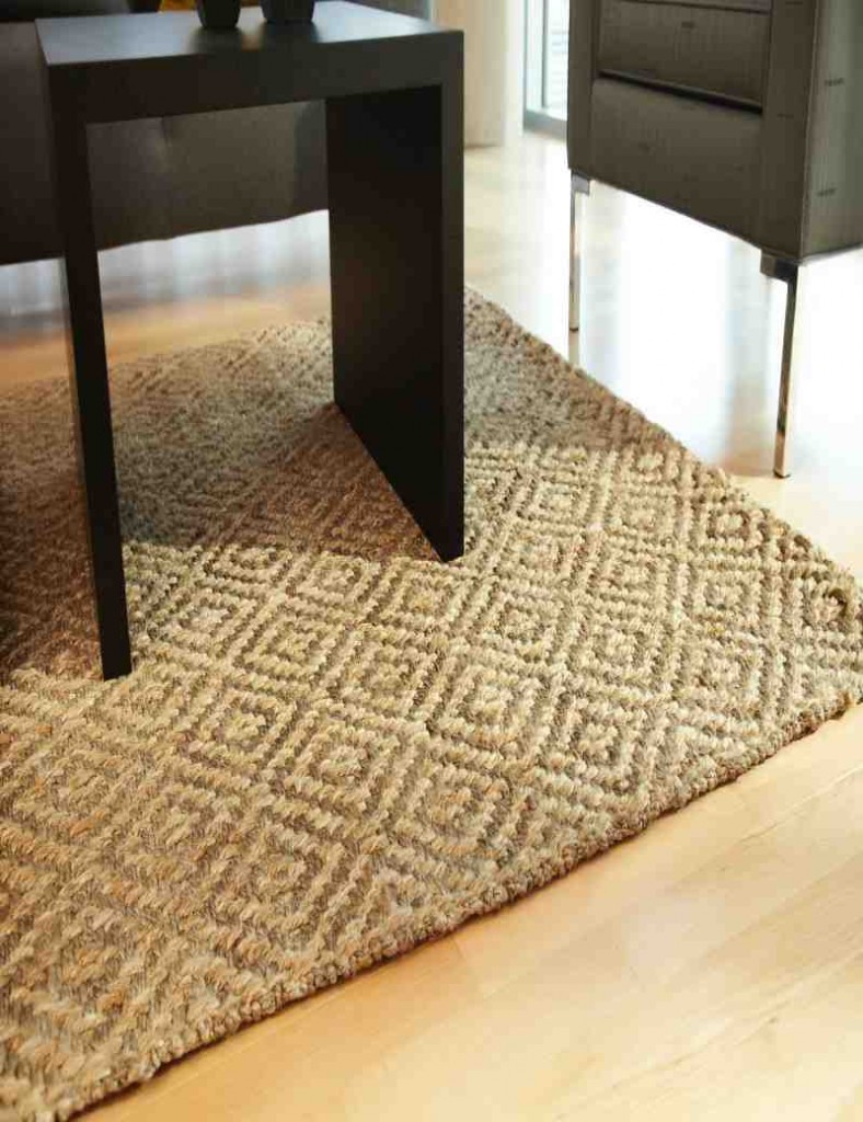 Jute Area Rugs 8x10