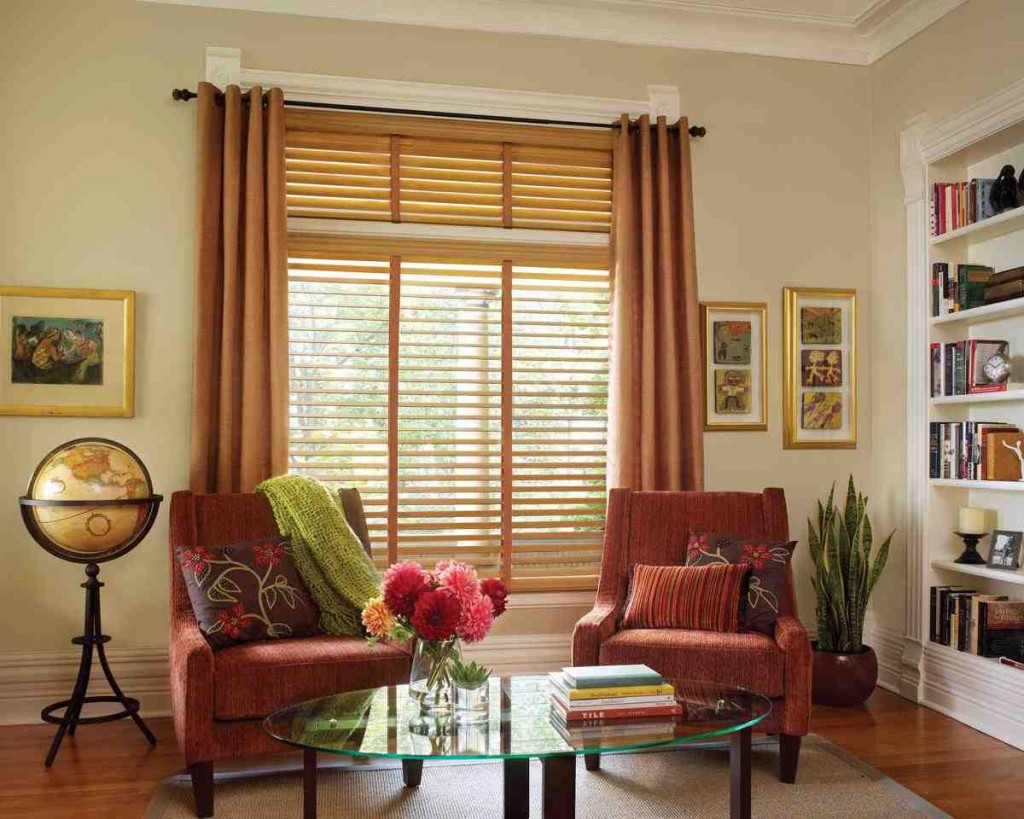 Living Room Blinds and Curtains