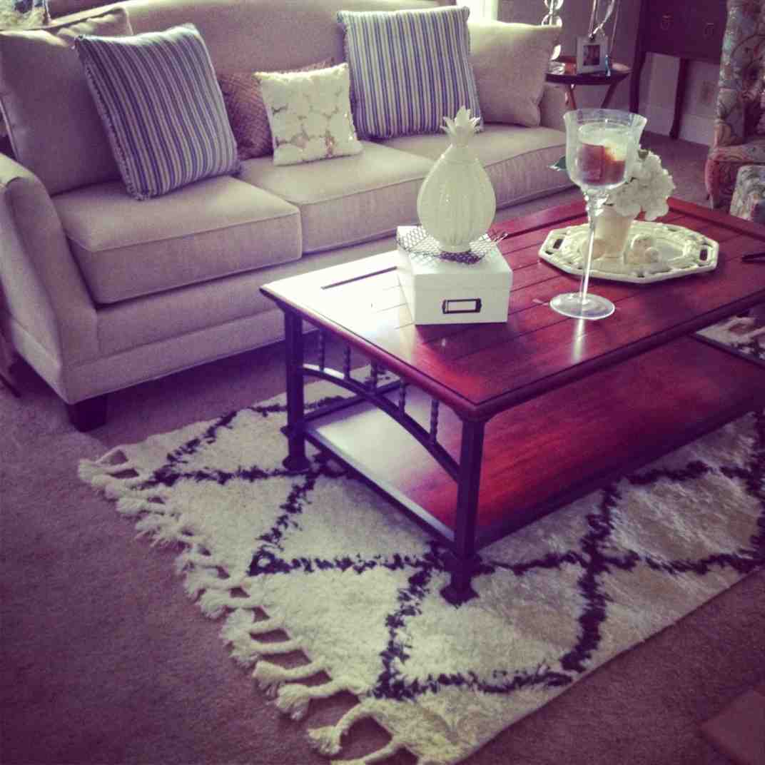 shag rug living room - decor ideas
