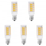 60 Watt Candelabra Base Bulbs