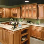 Kitchen Wall Colors with Oak Cabinets