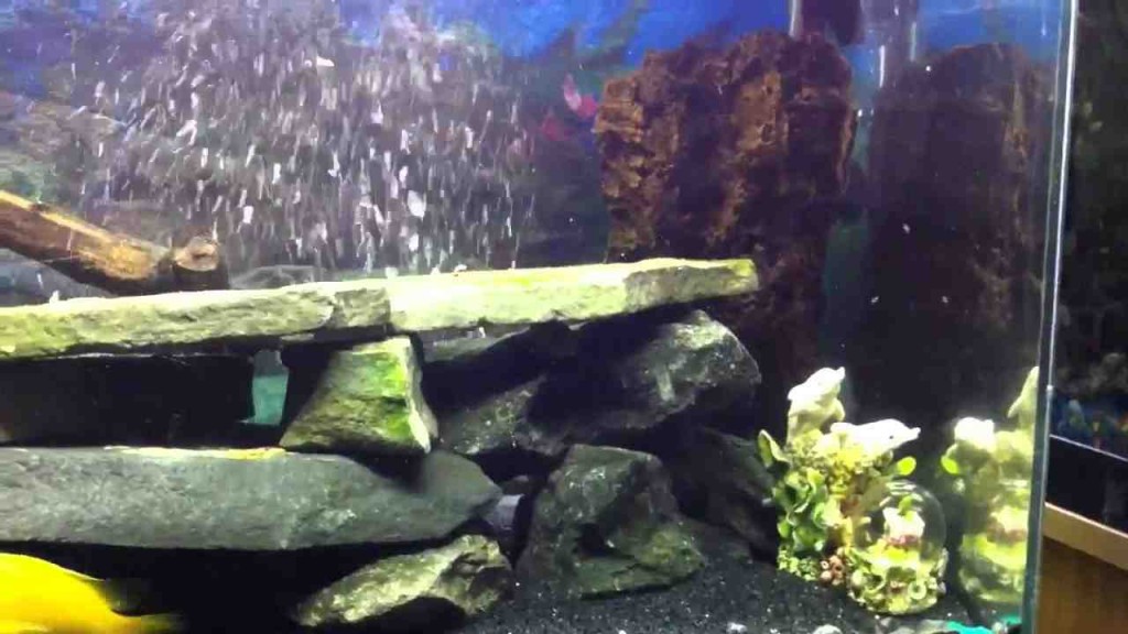 Aquarium Rock Decor