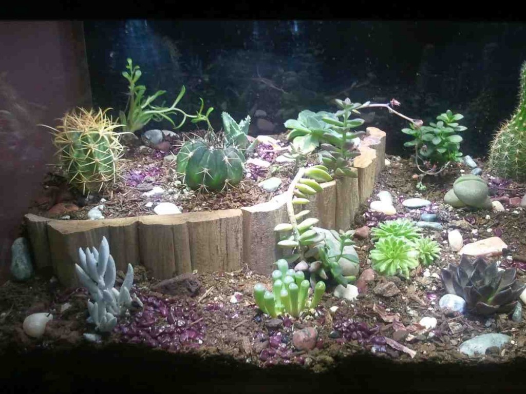 Custom Aquarium Decorations