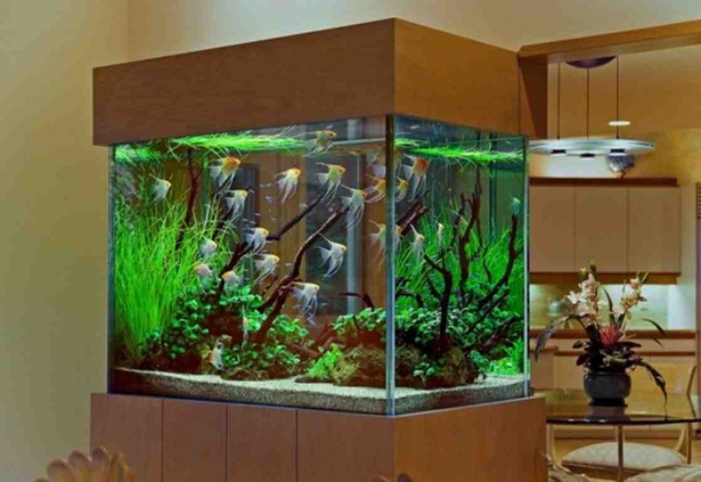 Discount Aquarium Decorations