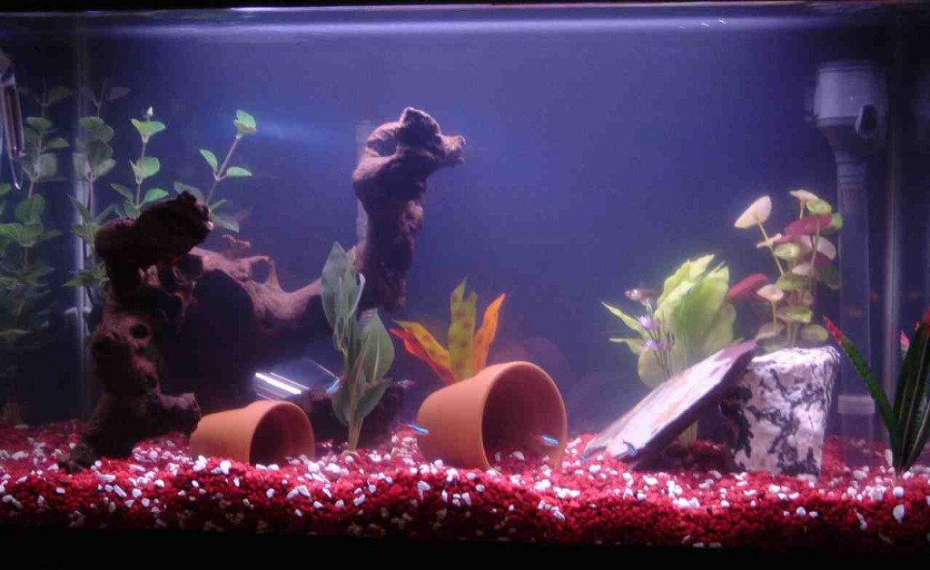 Fish Aquarium Decor