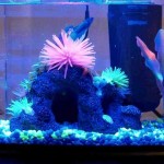 Glofish Aquarium Decorations