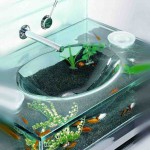 Natural Aquarium Decorations