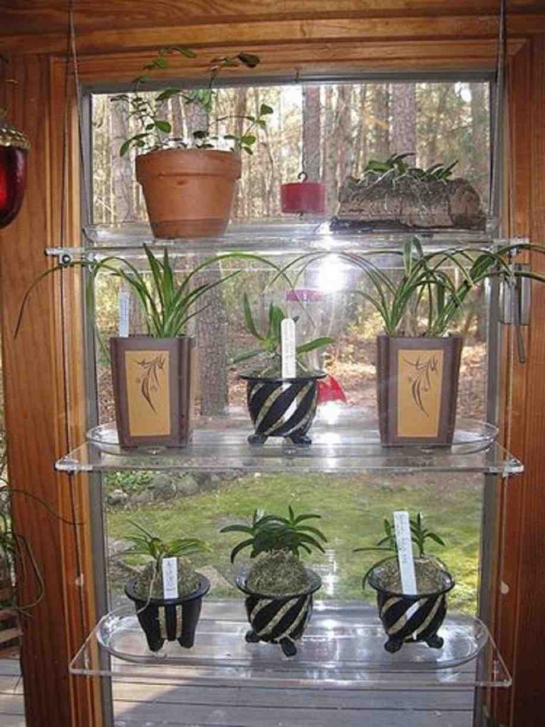 Glass Window Shelves for Plants