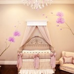 Baby Girl Room Decor Pictures