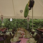Country Western Party Decorations