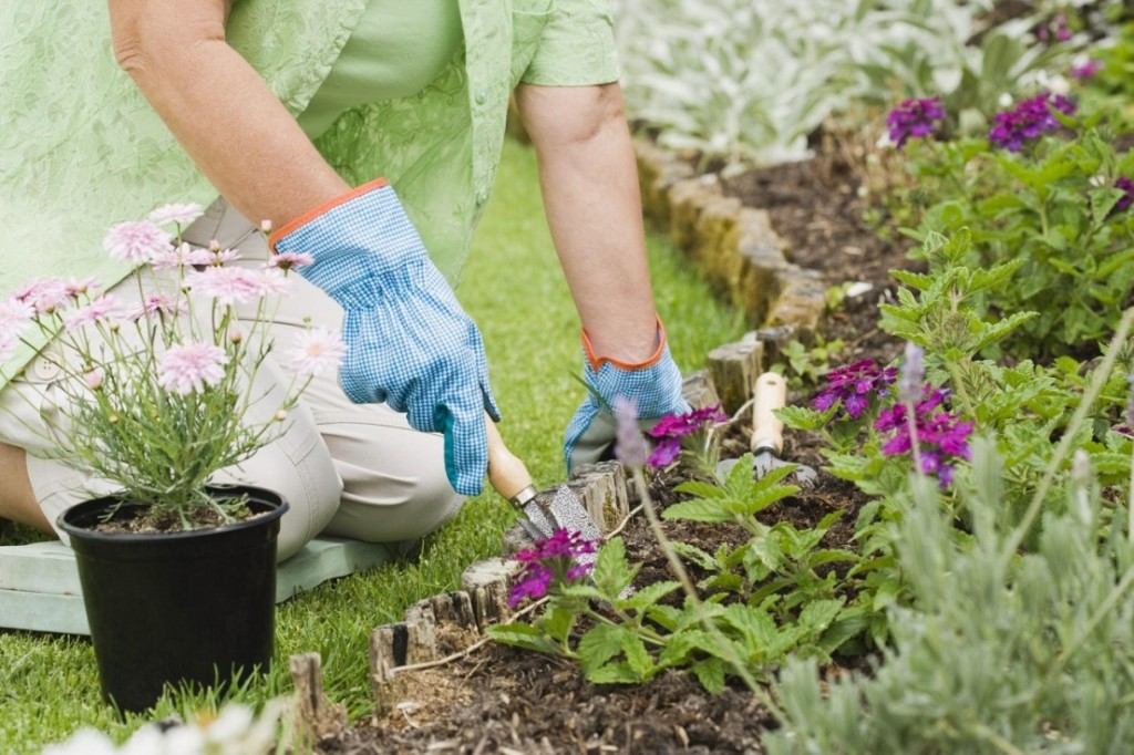 How To Start Your Flower Garden