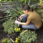 Six Planning Tips For Starting A Garden From Scratch